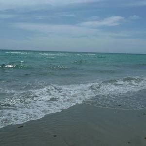 Meet your Posher, Rene